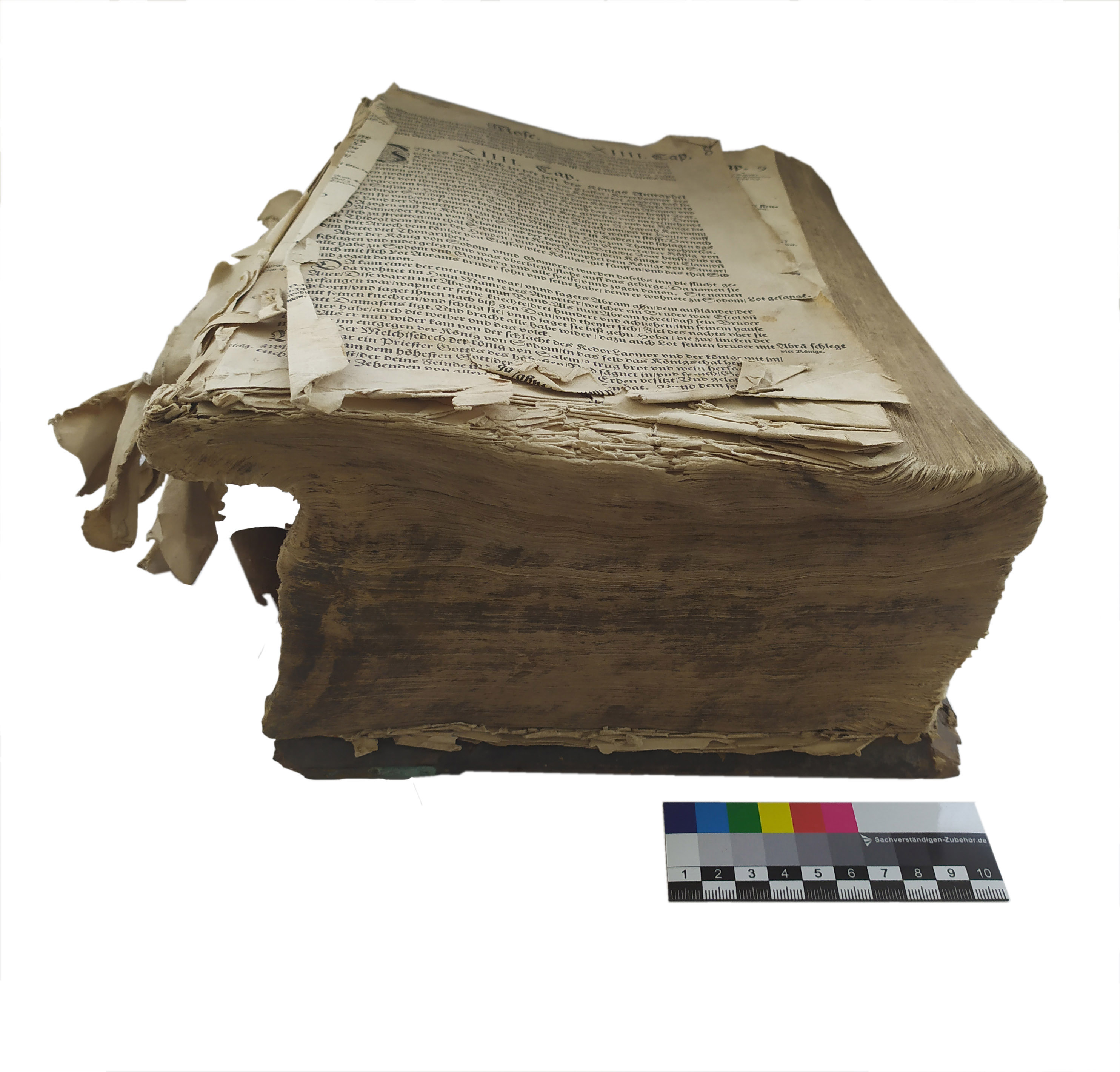 Kopskats pirms restaurācijas