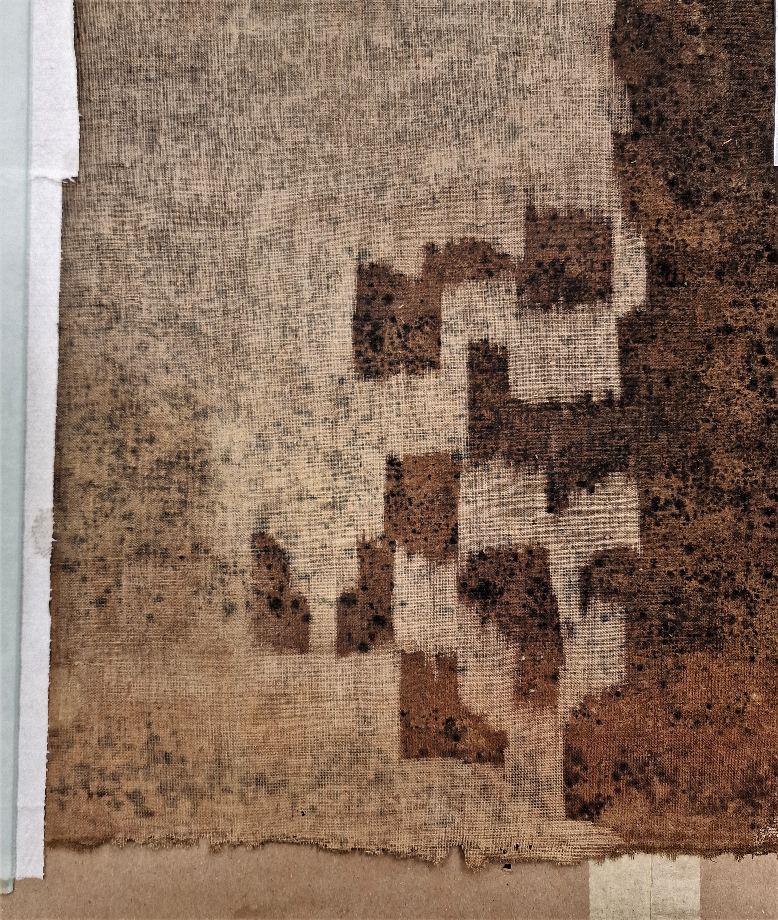 Restaurācijas process.pelējuma slāņa tīrīšana. Aizmugures fragments