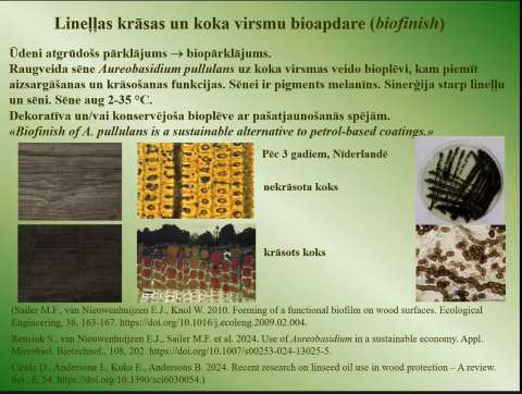 lekcijas slaids